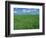 Wheat Fields Near Antequera, Spain-Gary Conner-Framed Photographic Print