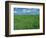 Wheat Fields Near Antequera, Spain-Gary Conner-Framed Photographic Print