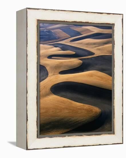 Wheat Fields of the Palouse Hills-Joseph Sohm-Framed Premier Image Canvas