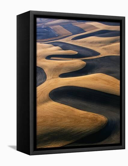 Wheat Fields of the Palouse Hills-Joseph Sohm-Framed Premier Image Canvas