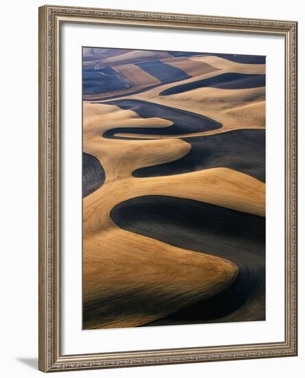 Wheat Fields of the Palouse Hills-Joseph Sohm-Framed Photographic Print