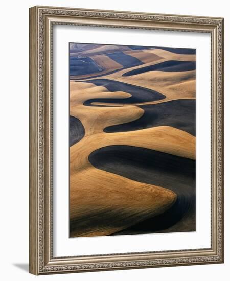 Wheat Fields of the Palouse Hills-Joseph Sohm-Framed Photographic Print