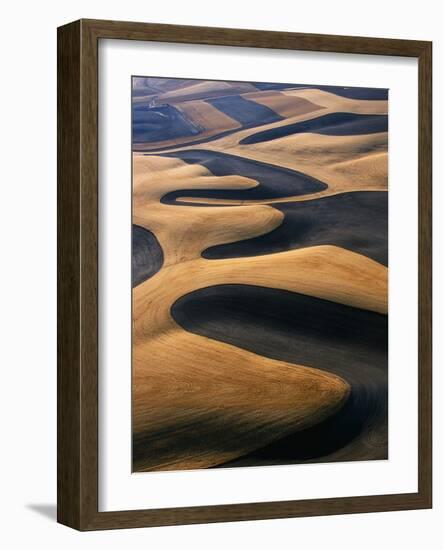 Wheat Fields of the Palouse Hills-Joseph Sohm-Framed Photographic Print