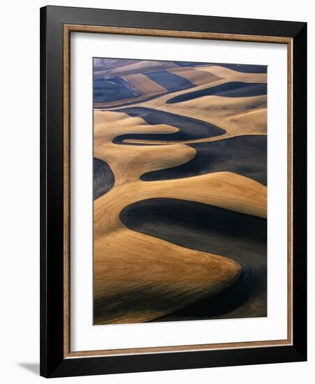 Wheat Fields of the Palouse Hills-Joseph Sohm-Framed Photographic Print