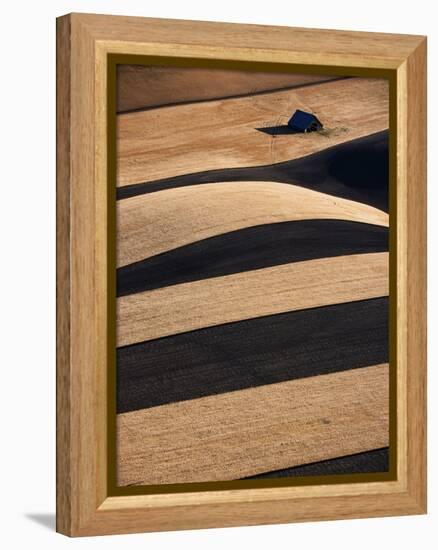 Wheat Fields on the Palouse Hills-Joseph Sohm-Framed Premier Image Canvas