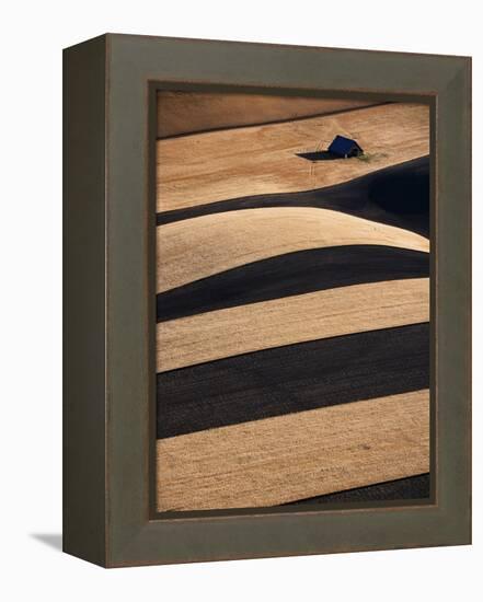 Wheat Fields on the Palouse Hills-Joseph Sohm-Framed Premier Image Canvas