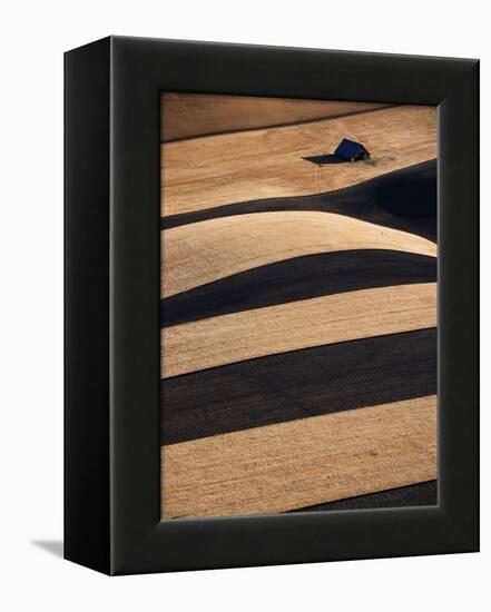 Wheat Fields on the Palouse Hills-Joseph Sohm-Framed Premier Image Canvas