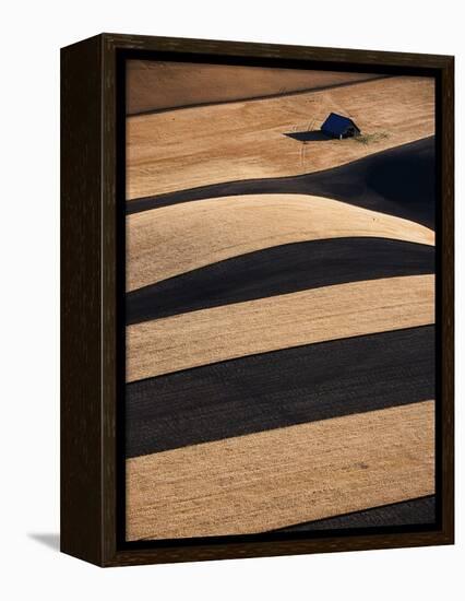 Wheat Fields on the Palouse Hills-Joseph Sohm-Framed Premier Image Canvas