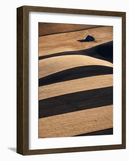 Wheat Fields on the Palouse Hills-Joseph Sohm-Framed Photographic Print