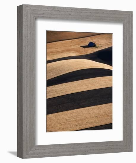 Wheat Fields on the Palouse Hills-Joseph Sohm-Framed Photographic Print