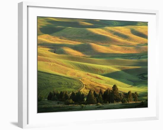 Wheat Fields, Palouse, Steptoe Butte State Park, Whitman County, Washington, USA-Charles Gurche-Framed Photographic Print