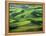 Wheat Fields, Palouse, Steptoe Butte State Park, Whitman County, Washington, USA-Charles Gurche-Framed Premier Image Canvas