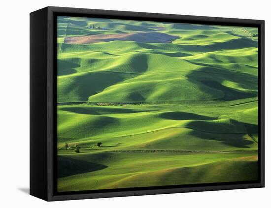 Wheat Fields, Palouse, Steptoe Butte State Park, Whitman County, Washington, USA-Charles Gurche-Framed Premier Image Canvas