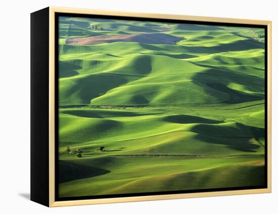 Wheat Fields, Palouse, Steptoe Butte State Park, Whitman County, Washington, USA-Charles Gurche-Framed Premier Image Canvas