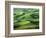 Wheat Fields, Palouse, Steptoe Butte State Park, Whitman County, Washington, USA-Charles Gurche-Framed Photographic Print