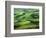 Wheat Fields, Palouse, Steptoe Butte State Park, Whitman County, Washington, USA-Charles Gurche-Framed Photographic Print