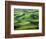 Wheat Fields, Palouse, Steptoe Butte State Park, Whitman County, Washington, USA-Charles Gurche-Framed Photographic Print