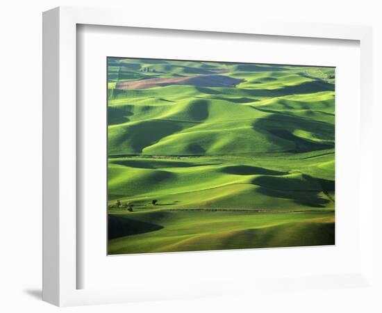 Wheat Fields, Palouse, Steptoe Butte State Park, Whitman County, Washington, USA-Charles Gurche-Framed Photographic Print