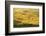 Wheat Fields, Palouse, Whitman County, Washington, USA-Charles Gurche-Framed Photographic Print