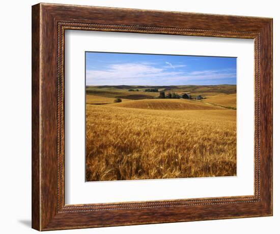 Wheat fields, Whitman County, Washington, USA-Charles Gurche-Framed Photographic Print