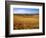 Wheat fields, Whitman County, Washington, USA-Charles Gurche-Framed Photographic Print