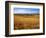 Wheat fields, Whitman County, Washington, USA-Charles Gurche-Framed Photographic Print