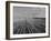 Wheat Fields-Margaret Bourke-White-Framed Photographic Print