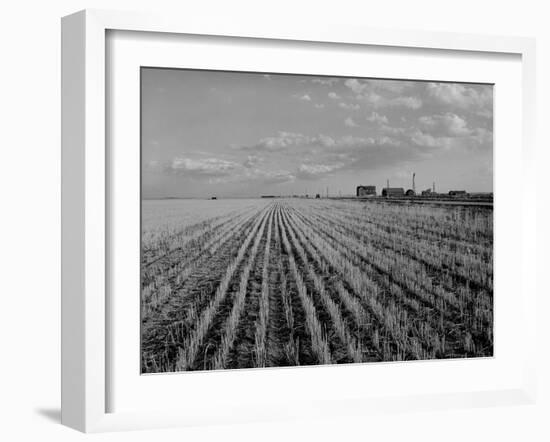 Wheat Fields-Margaret Bourke-White-Framed Photographic Print