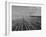 Wheat Fields-Margaret Bourke-White-Framed Photographic Print