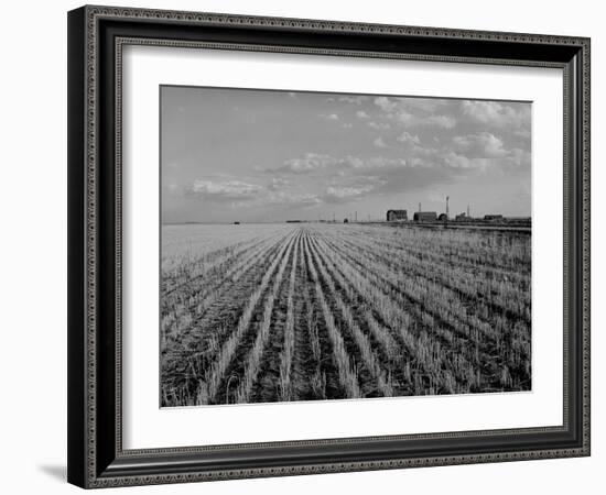 Wheat Fields-Margaret Bourke-White-Framed Photographic Print