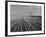 Wheat Fields-Margaret Bourke-White-Framed Photographic Print