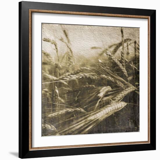 Wheat Fields-Jace Grey-Framed Art Print