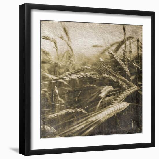 Wheat Fields-Jace Grey-Framed Art Print