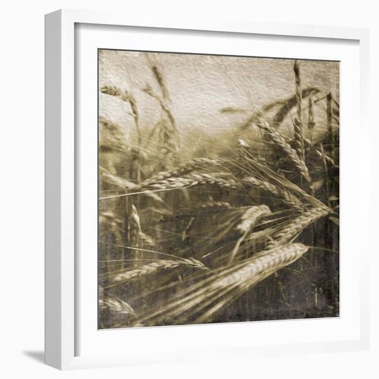 Wheat Fields-Jace Grey-Framed Art Print