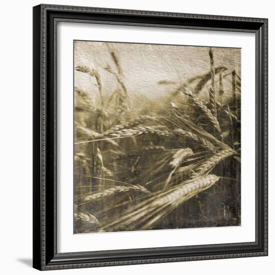 Wheat Fields-Jace Grey-Framed Art Print