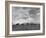 Wheat Harvest Time with Two Lines of Combines Lining Up in Field with Threatening Sky-Joe Scherschel-Framed Photographic Print