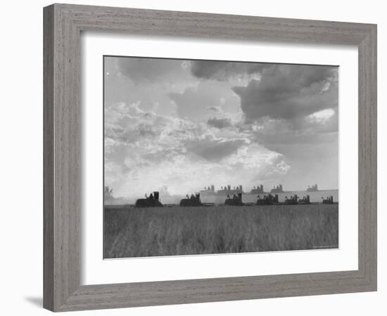 Wheat Harvest Time with Two Lines of Combines Lining Up in Field with Threatening Sky-Joe Scherschel-Framed Photographic Print