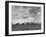 Wheat Harvest Time with Two Lines of Combines Lining Up in Field with Threatening Sky-Joe Scherschel-Framed Photographic Print