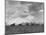 Wheat Harvest Time with Two Lines of Combines Lining Up in Field with Threatening Sky-Joe Scherschel-Mounted Photographic Print