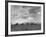Wheat Harvest Time with Two Lines of Combines Lining Up in Field with Threatening Sky-Joe Scherschel-Framed Photographic Print