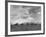 Wheat Harvest Time with Two Lines of Combines Lining Up in Field with Threatening Sky-Joe Scherschel-Framed Photographic Print