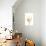 Wheat Plant-Fabio Petroni-Photographic Print displayed on a wall