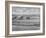 Wheat Plots at Experimental Station Working on Erosion Problem-Alfred Eisenstaedt-Framed Photographic Print