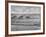 Wheat Plots at Experimental Station Working on Erosion Problem-Alfred Eisenstaedt-Framed Photographic Print