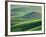 Wheat Springs in the Hills of the Palouse Country, Idaho, USA-Chuck Haney-Framed Photographic Print