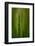 Wheat-Ursula Abresch-Framed Photographic Print