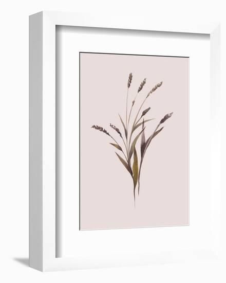 Wheat-Design Fabrikken-Framed Premium Giclee Print