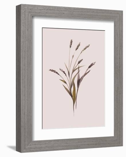 Wheat-Design Fabrikken-Framed Art Print