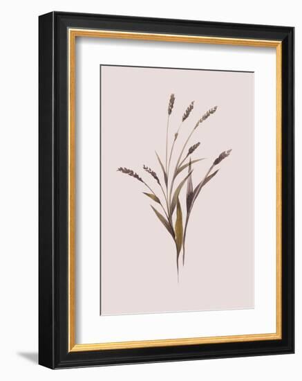 Wheat-Design Fabrikken-Framed Art Print