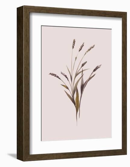 Wheat-Design Fabrikken-Framed Art Print